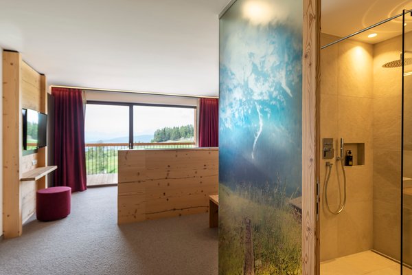 Foto della camera Hotel Seelaus