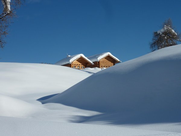 Photo gallery winter