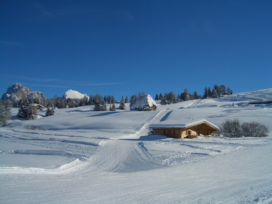Foto Außenansicht Ferienhaus Chalet Seiseralm