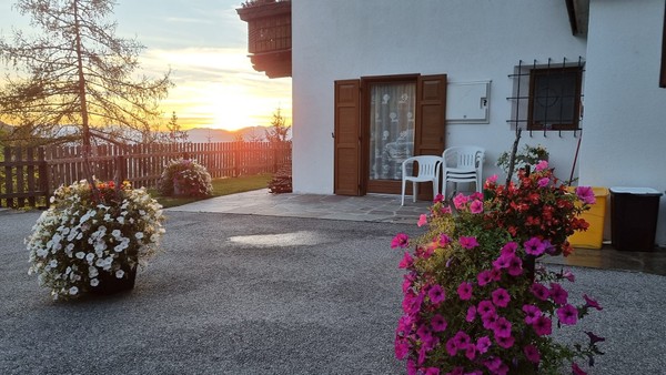 Foto del giardino Alpe di Siusi