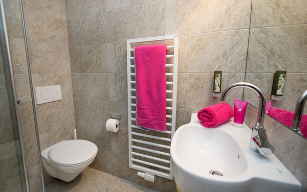 Foto del bagno Rifugio-Hotel Mahlknechthütte