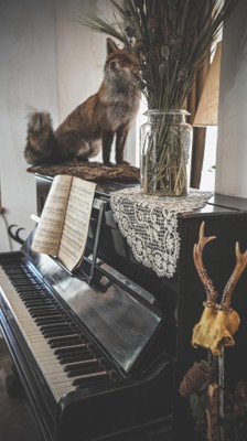 Le parti comuni Hotel Alte Mühle