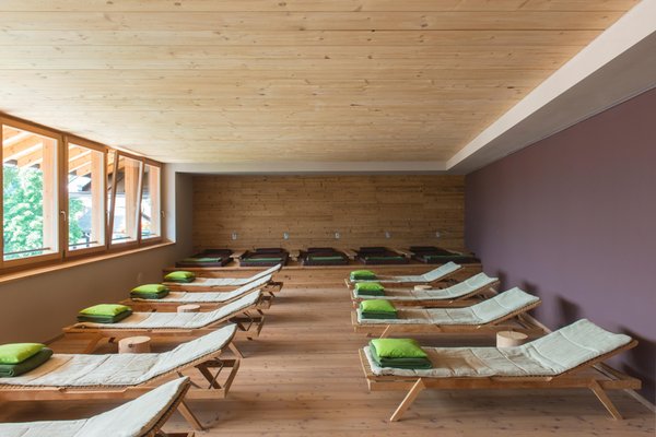 Foto del wellness Hotel Drumlerhof