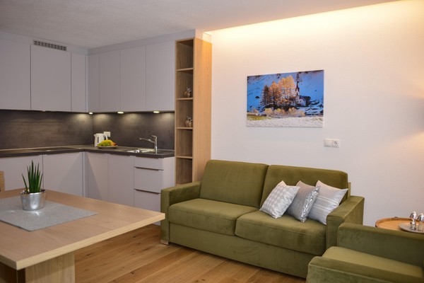 The living area Apartments Fischer