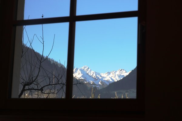 Vista dalla struttura