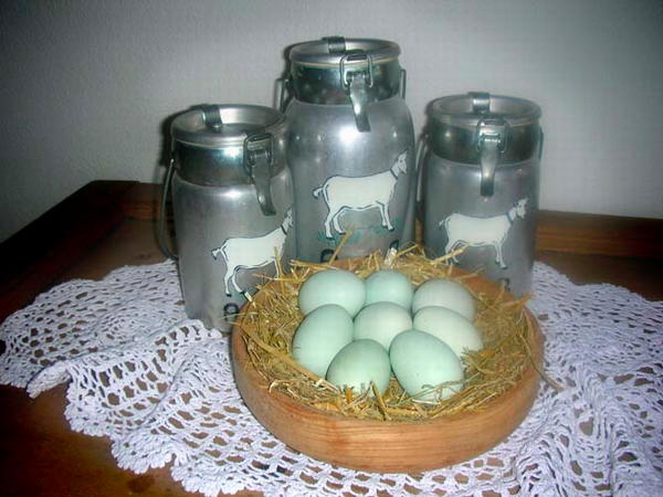 Immagine Appartamenti in agriturismo Huberhof
