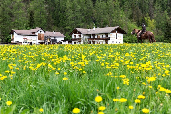 Photo exteriors Farmhouse apartments Peintenhof