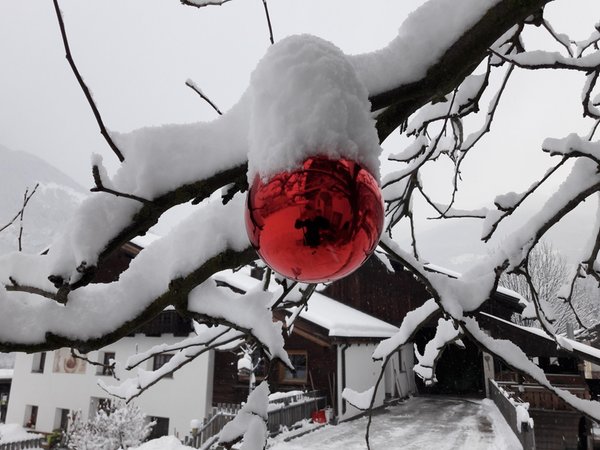 Gallery inverno