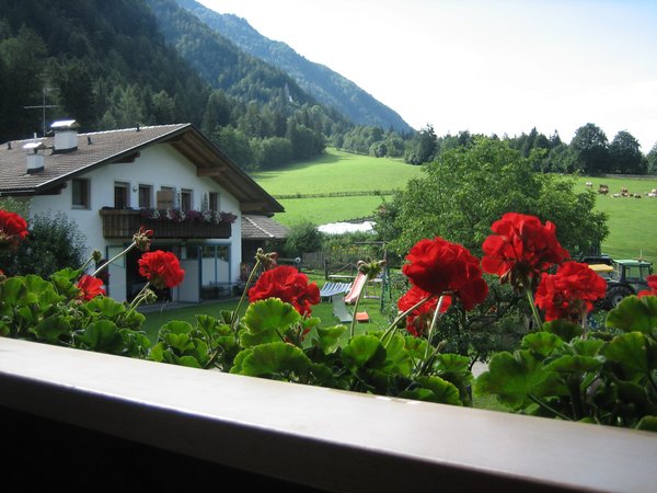 Vista dalla struttura