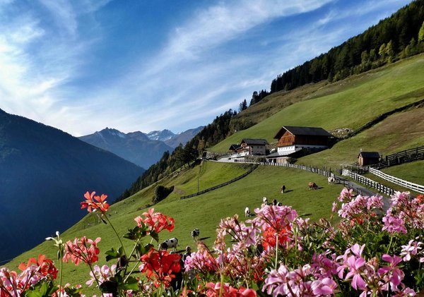 Foto esterno in estate Roanerhof