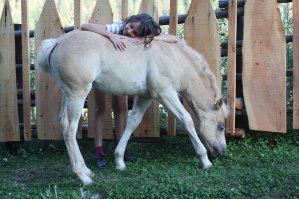 Foto degli animali