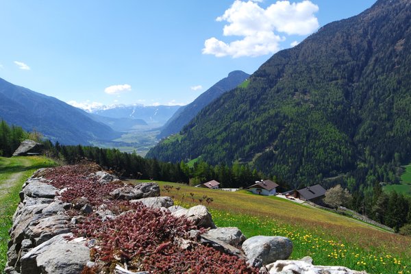 Panoramic view Acereto / Ahornach (Valle di Tures / Tauferer Tal)