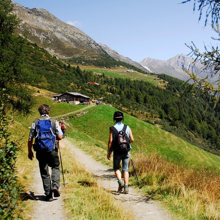 Gallery Valle Aurina e Val di Tures estate