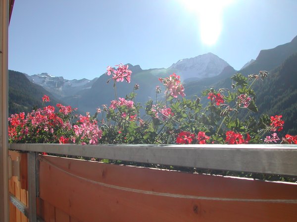 Foto vom Balkon Friedheim