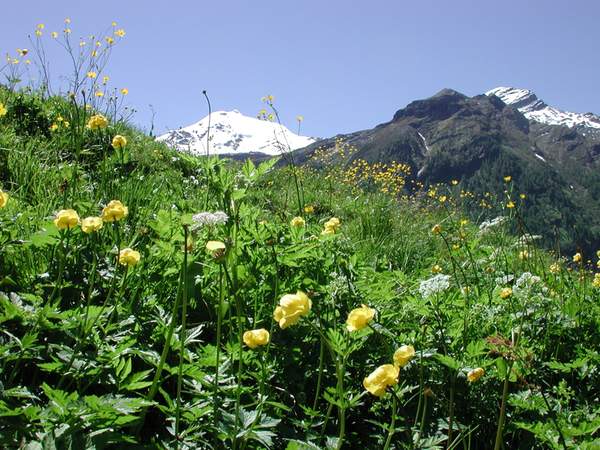 Aussicht Rein in Taufers