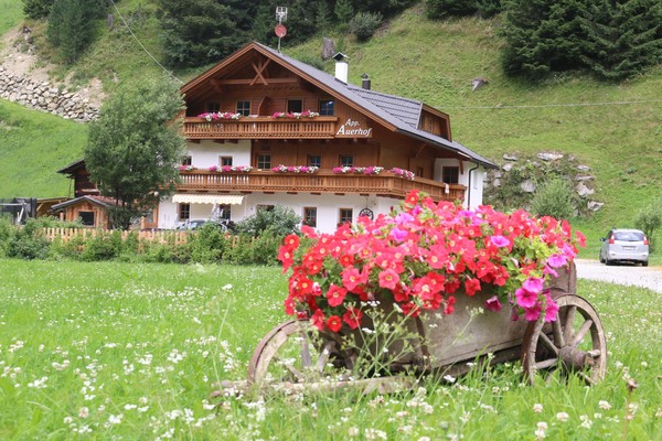 Foto Außenansicht Ferienwohnungen auf dem Bauernhof Auerhof