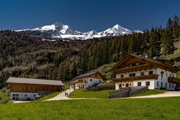 Foto esterno in estate Niederuntererhof