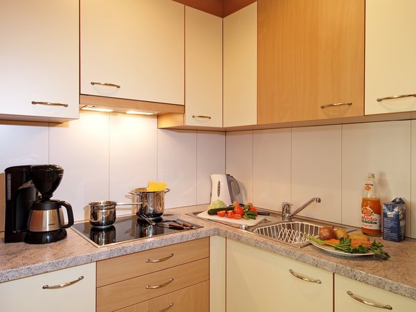 Foto der Küche Appartement Hotel Deluxe Erlhof
