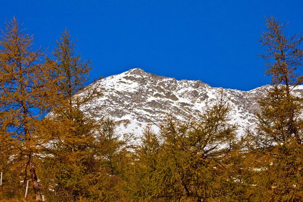 Panorama San Giovanni (Valle Aurina)