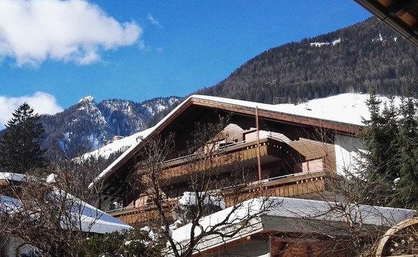 Foto Außenansicht Ferienhaus Bader