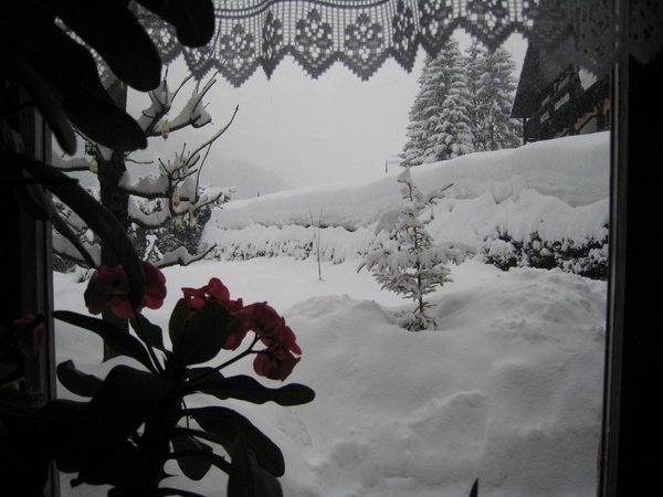 Vista dalla struttura