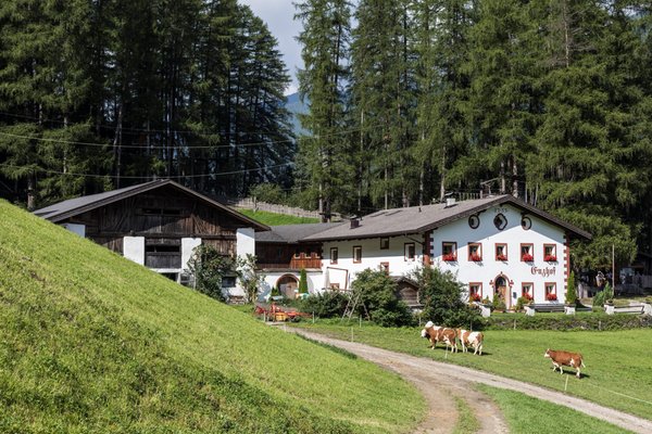 Foto Außenansicht im Sommer Enzhof