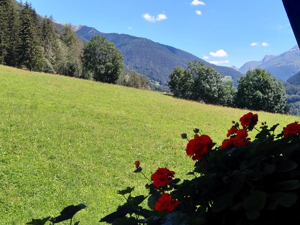 Vista dalla struttura