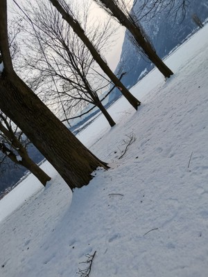 Photo gallery