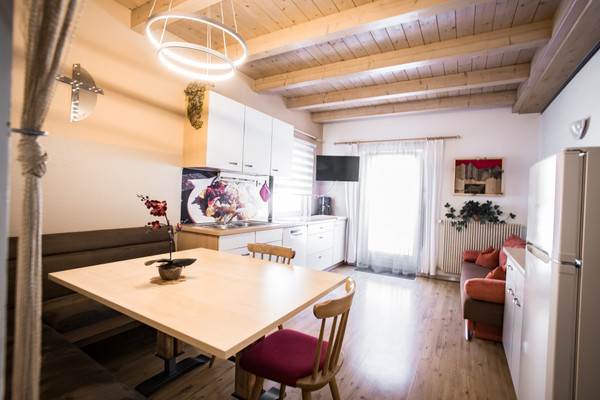 Photo of the kitchen Steger