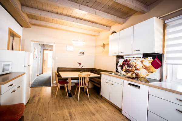Photo of the kitchen Steger