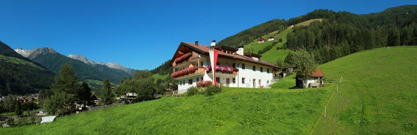 Foto esterno Appartamenti in agriturismo Mitterlembach