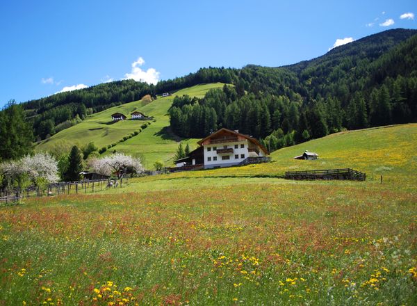 Appartamenti in agriturismo Mitterlembach - Lutago - Valli ...