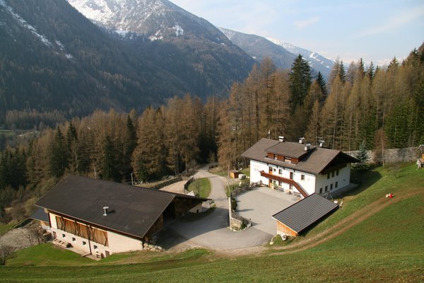 La posizione Appartamenti in agriturismo Winklerhof San Pietro (Valle Aurina)
