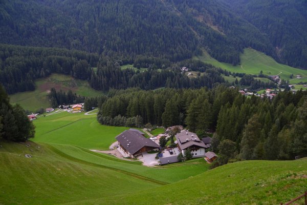 La posizione Appartamenti in agriturismo Winklerhof San Pietro (Valle Aurina)