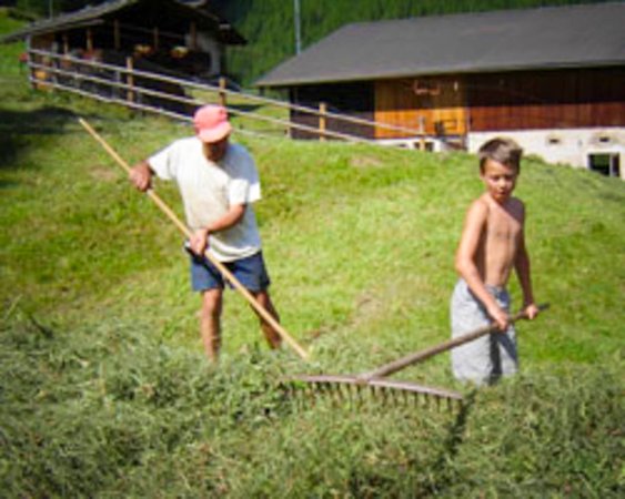 Foto del giardino Cadipietra