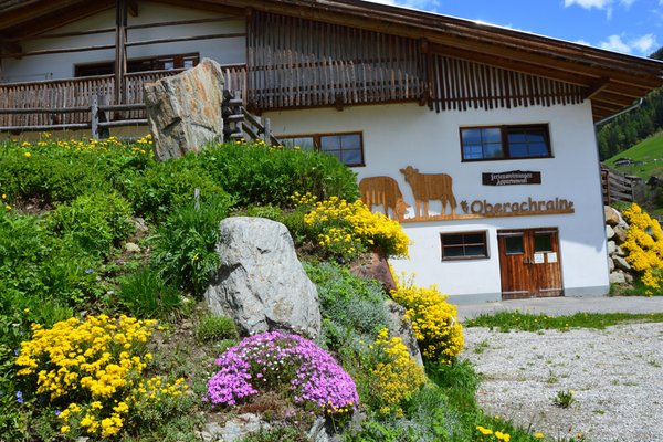 Foto del giardino San Giacomo (Valle Aurina)