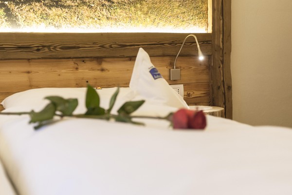 Photo of the room Residence Schneider