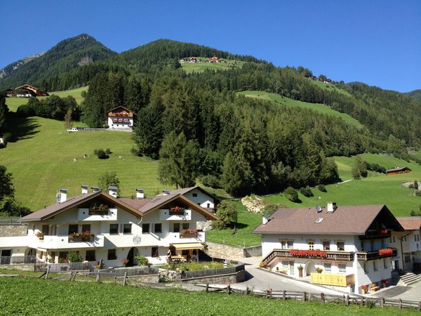 Photo exteriors in summer XL-Appartements Steinhaus
