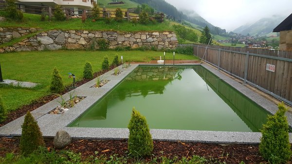 Photo of the outdoor swimming pool