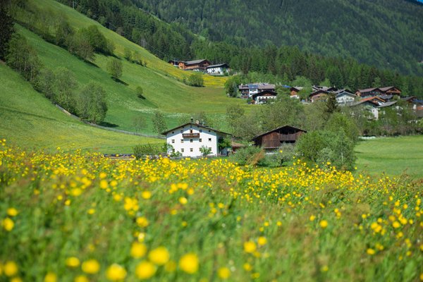 La posizione Appartamenti in agriturismo Obergruberhof San Pietro (Valle Aurina)