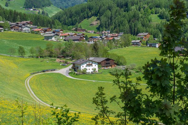 La posizione Appartamenti in agriturismo Obergruberhof San Pietro (Valle Aurina)