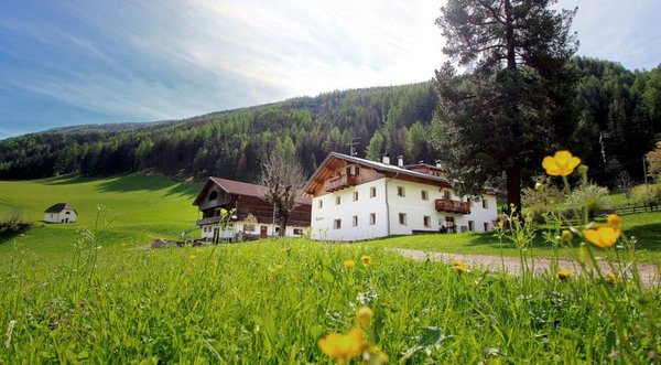 Sommer Präsentationsbild Ferienwohnungen auf dem Bauernhof Weißenbachlhof