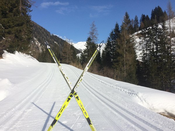 Photo gallery winter