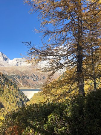 Photo gallery Selva dei Molini / Mühlwald winter