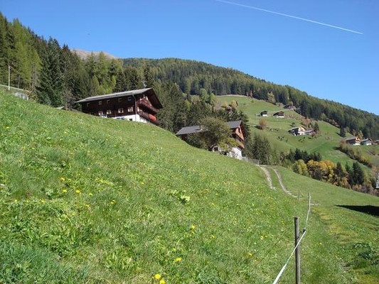 La posizione Appartamenti in agriturismo Hopfgartnerhof Selva dei Molini