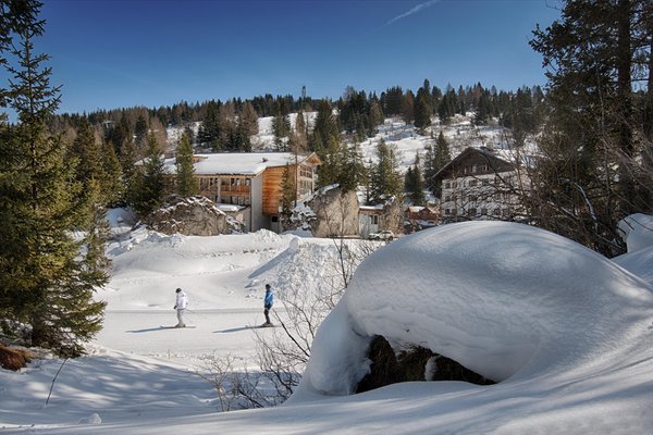 Photo exteriors in winter Elisir