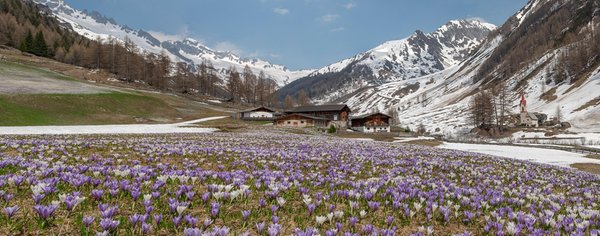 Caratteristica rappresentazione di Valle Aurina (Valli Aurina e di Tures)