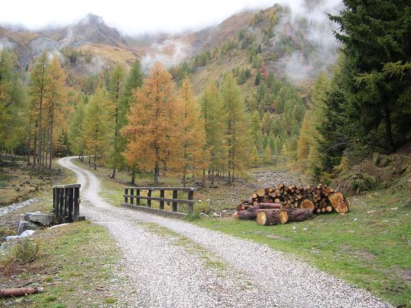 Mair am Tinkhof - Malga Lappago (Valle di Selva dei Molini)