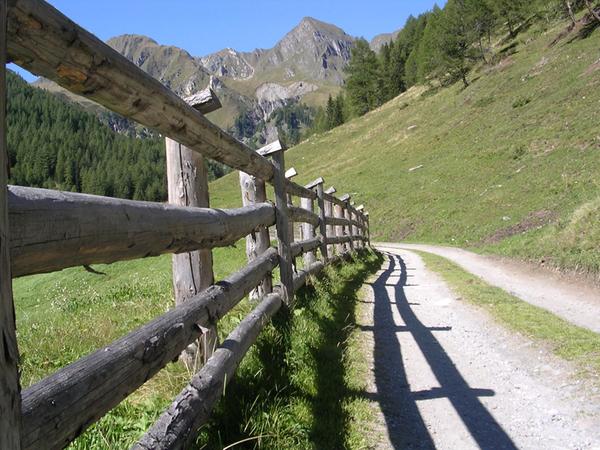 Mair am Tinkhof - Malga Lappago (Valle di Selva dei Molini)