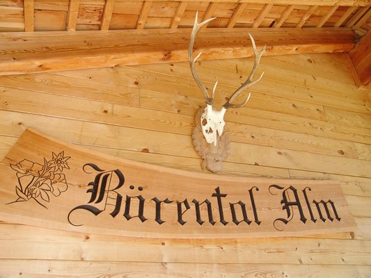 Photo of some details Bärental